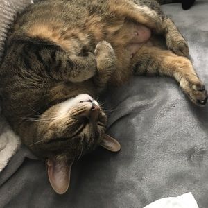 Meet your Posher, Candice